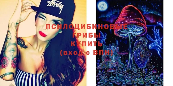 бошки Абаза